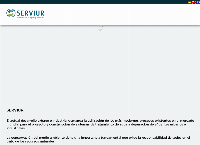 Serviur