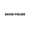 DAVID PULIDO de todo tipos de pisos