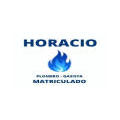 Horacio- Plomero y Gasista Matriculado