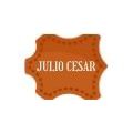 JULIO CESAR