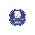 Equinoterapia Enzian Establecimiento Ecuestre
