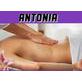 Anto Estetik