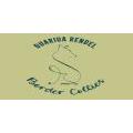 BORDER COLLIES GUARIDA RENDEL