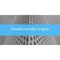 Estudio Contable Scogian