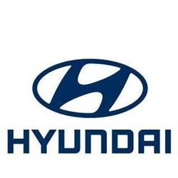 HYUNDAI Pesado Castro Dealer