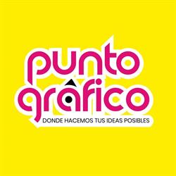 Punto gráfico