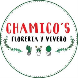 Vivero Chamico´s