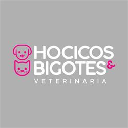 Hocicos y Bigotes