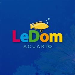 Ledom Acuario
