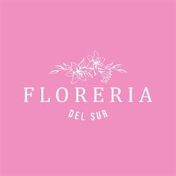 Floreria y Bronceria Del Sur