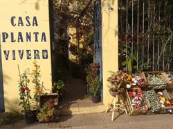 Casa Planta Vivero