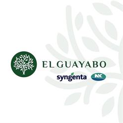 El Guayabo SRL