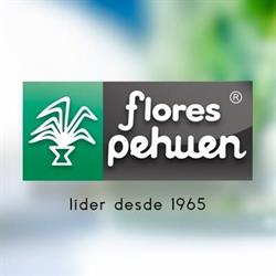 Flores Pehuen