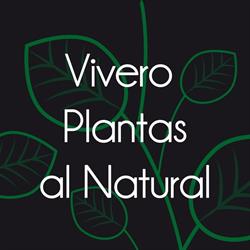 Vivero Plantas Al Natural