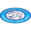 Salerno Pesca