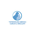 Veterinario Medico Carlos A Seillant