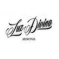 Luz Divina . Armonía
