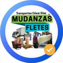 Mudanzas Transportes César Diaz