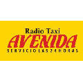 TAXI AVENIDA