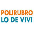 Polirubro Lo de Vivi
