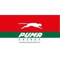 Estación de Servicio Puma