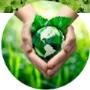 Hidroponia: El cultivo para el futuro del mundo
Sabores Intensos, Sabrosos, Crujientes, Sabrososy Nutritivos para tu cocina
Productos gourmet
Estamos dirigidos especialmente Vegetarianos Veganos Cocinas Consientes Cocinas Gourmet Sabores Intensos Verduras súper nutritivas