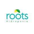 Roots Hidroponía