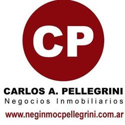 Carlos Pellegrini, Negocios Inmobiliarios, Villa Carlos Paz
