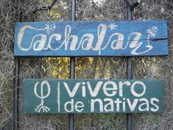 Vivero de Plantas Nativas El Cachafaz