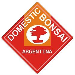 Domestic Bonsai Argentina