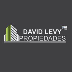 David Levy Propiedades