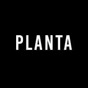 Planta