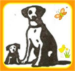 Huellita guarderia y peluqueria canina