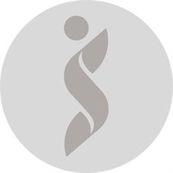 La Silueta