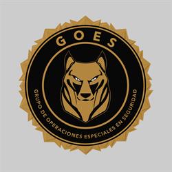 GOES srl