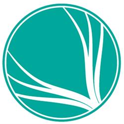Centro Estético Trigo