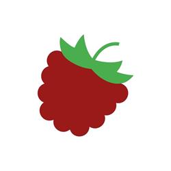 Carmín Alimentos Palermo - Frutas y Vegetales Congelados - Alimentos saludables