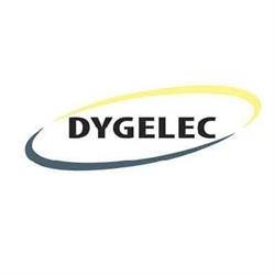 Dygelec Srl