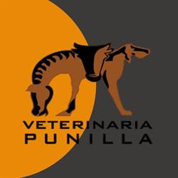 Veterinaria punilla