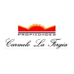 Carmelo La Forgia Propiedades