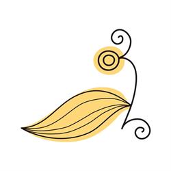 Consultorios de Salud Femenina