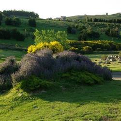 Cabañas en Tandil Tandilia