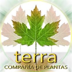 Terra, Compañía de Plantas