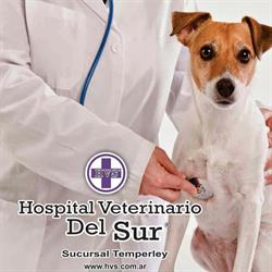 Hospital Veterinario Del Sur - sucursal Temperley