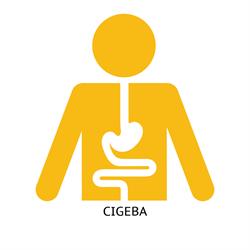 Cigeba