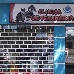 Veterinaria Dra. Mega