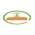 Indyca