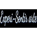 Experi- Sentir Arte