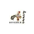 Avícola Q'pollo