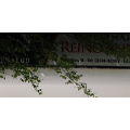 VETERINARIA REINO ANIMAL - CLINICA VETERINARIA